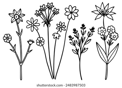 Wildflower-Paket-Kunst-Illustration, die die Schönheit der Blüten der Natur einfängt