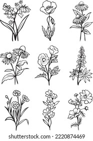 wildflower bundle, botanical bundle, floral, flower, botanical clipart, flower clipart