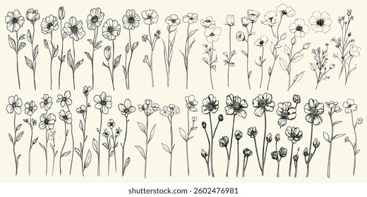 Wildflower collection for boho wedding invitations, chic stationery, eco-conscious branding, trendy greenery, rustic decor, black line art, feminine botanical floral branch, white campion