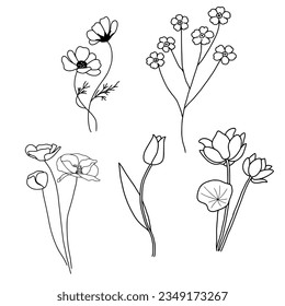Vektorbild der Wildblume-Kollektion