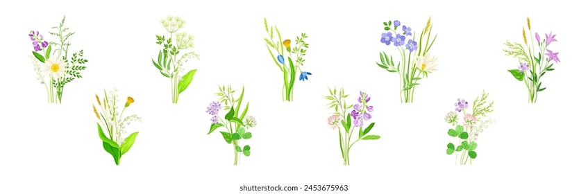 Wildflower Composition with Meadow Plants and Flora Vector Set