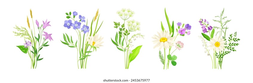 Composición de flores silvestres con plantas de prado y conjunto de Vectores de flora