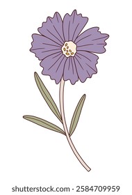 Wildflower coreopsis, blooming flower violet color, green leaves. Detailed shape with contour. Hand-drawn blooming meadow wild plant. Botanical element, floral vector illustration