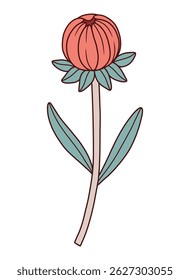 Wildflower coreopsis bud, blooming flower red color, green leaves. Detailed shape with contour. Hand-drawn blooming meadow wild plant. Botanical element, floral vector illustration
