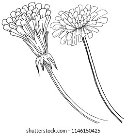 Wildflower dandelion in a vector style isolated. Full name of the plant: dandelion. Vector flower for background, texture, wrapper pattern, frame or border.