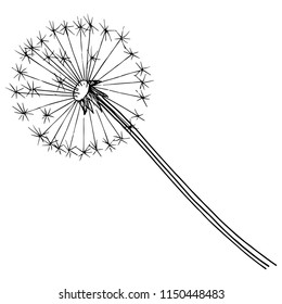 Wildflower dandelion in a vector style isolated. Full name of the plant: dandelion. Vector flower for background, texture, wrapper pattern, frame or border.
