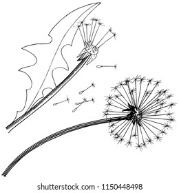 Wildflower dandelion in a vector style isolated. Full name of the plant: dandelion. Vector flower for background, texture, wrapper pattern, frame or border.