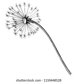 Wildflower dandelion in a vector style isolated. Full name of the plant: dandelion. Vector flower for background, texture, wrapper pattern, frame or border.