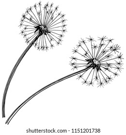 Wildflower dandelion in a vector style isolated. Full name of the plant: dandelion. Vector flower for background, texture, wrapper pattern, frame or border.