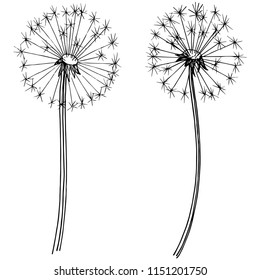 Wildflower dandelion in a vector style isolated. Full name of the plant: dandelion. Vector flower for background, texture, wrapper pattern, frame or border.