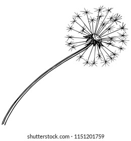 Wildflower dandelion in a vector style isolated. Full name of the plant: dandelion. Vector flower for background, texture, wrapper pattern, frame or border.