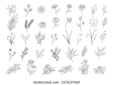 Colección botánica de doodle de flores silvestres, individual y arregla ilustración de vector de clipart floral.