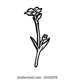 wildflower drawing