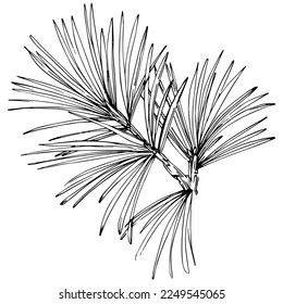 Wildflower fir-needle tree pattern in a one line style. Outline of the plant: Black and white engraved ink art needle. Sketch wild flower for background, texture, wrapper pattern, frame or border.