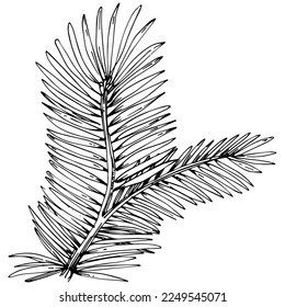 Wildflower fir-needle tree pattern in a one line style. Outline of the plant: Black and white engraved ink art needle. Sketch wild flower for background, texture, wrapper pattern, frame or border.