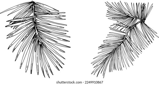 Wildflower fir-needle tree pattern in a one line style. Outline of the plant: Black and white engraved ink art needle. Sketch wild flower for background, texture, wrapper pattern, frame or border.