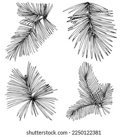 Patrón de árbol de aguja de abeja de flor silvestre en un estilo de una línea. Esquema de la planta: Aguja de arte con tinta grabada en blanco y negro. Esbozar flor silvestre para fondo, textura, patrón envolvente, marco o borde.