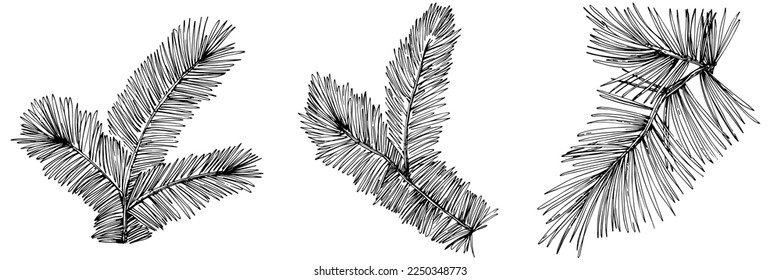 Patrón de árbol de aguja de abeja de flor silvestre en un estilo de una línea. Esquema de la planta: Aguja de arte con tinta grabada en blanco y negro. Esbozar flor silvestre para fondo, textura, patrón envolvente, marco o borde.