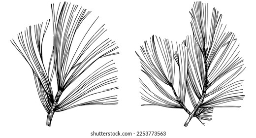 Patrón de árbol de aguja de abeja de flor silvestre en un estilo de una línea. Esquema de la planta: Aguja de arte con tinta grabada en blanco y negro. Esbozar flor silvestre para fondo, textura, patrón envolvente, marco o borde.
