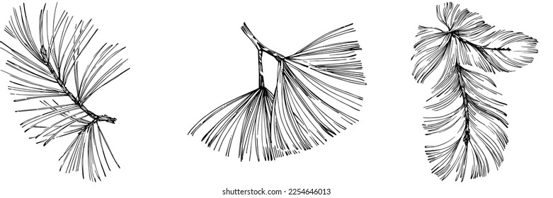 Wildflower fir-needle tree pattern in a one line style. Outline of the plant: Black and white engraved ink art needle. Sketch wild flower for background, texture, wrapper pattern, frame or border.