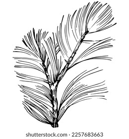 Patrón de árbol de aguja de abeja de flor silvestre en un estilo de una línea. Esquema de la planta: Aguja de arte con tinta grabada en blanco y negro. Esbozar flor silvestre para fondo, textura, patrón envolvente, marco o borde.