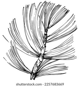 Wildflower fir-needle tree pattern in a one line style. Outline of the plant: Black and white engraved ink art needle. Sketch wild flower for background, texture, wrapper pattern, frame or border.
