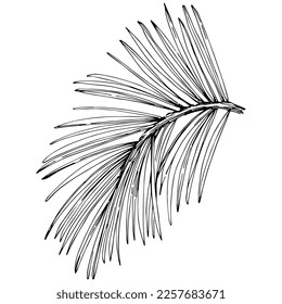 Wildflower fir-needle tree pattern in a one line style. Outline of the plant: Black and white engraved ink art needle. Sketch wild flower for background, texture, wrapper pattern, frame or border.