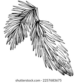 Patrón de árbol de aguja de abeja de flor silvestre en un estilo de una línea. Esquema de la planta: Aguja de arte con tinta grabada en blanco y negro. Esbozar flor silvestre para fondo, textura, patrón envolvente, marco o borde.