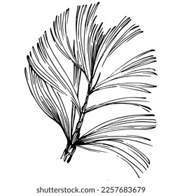 Wildflower fir-needle tree pattern in a one line style. Outline of the plant: Black and white engraved ink art needle. Sketch wild flower for background, texture, wrapper pattern, frame or border.