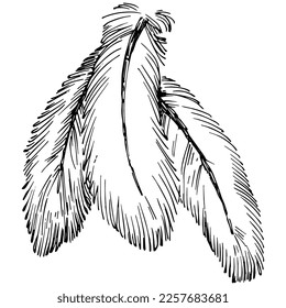 Patrón de árbol de aguja de abeja de flor silvestre en un estilo de una línea. Esquema de la planta: Aguja de arte con tinta grabada en blanco y negro. Esbozar flor silvestre para fondo, textura, patrón envolvente, marco o borde.