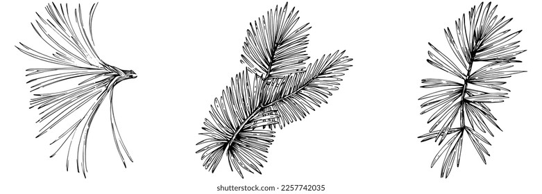 Patrón de árbol de aguja de abeja de flor silvestre en un estilo de una línea. Esquema de la planta: Aguja de arte con tinta grabada en blanco y negro. Esbozar flor silvestre para fondo, textura, patrón envolvente, marco o borde.