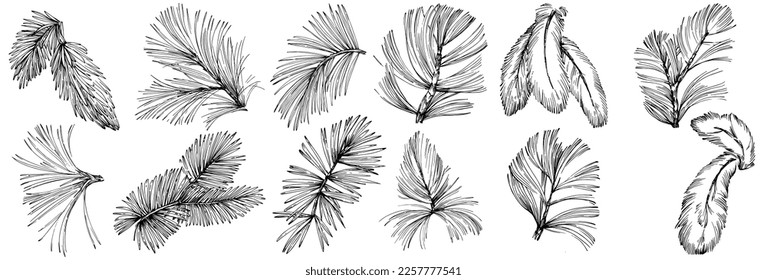 Patrón de árbol de aguja de abeja de flor silvestre en un estilo de una línea. Esquema de la planta: Aguja de arte con tinta grabada en blanco y negro. Esbozar flor silvestre para fondo, textura, patrón envolvente, marco o borde.