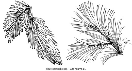 Patrón de árbol de aguja de abeja de flor silvestre en un estilo de una línea. Esquema de la planta: Aguja de arte con tinta grabada en blanco y negro. Esbozar flor silvestre para fondo, textura, patrón envolvente, marco o borde.