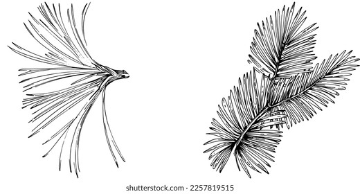 Patrón de árbol de aguja de abeja de flor silvestre en un estilo de una línea. Esquema de la planta: Aguja de arte con tinta grabada en blanco y negro. Esbozar flor silvestre para fondo, textura, patrón envolvente, marco o borde.