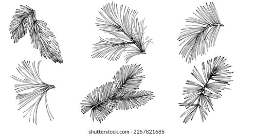 Wildflower fir-needle tree pattern in a one line style. Outline of the plant: Black and white engraved ink art needle. Sketch wild flower for background, texture, wrapper pattern, frame or border.