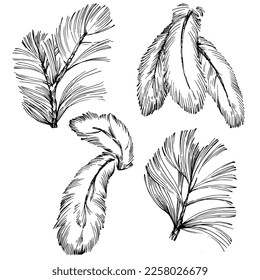 Wildflower fir-needle tree pattern in a one line style. Outline of the plant: Black and white engraved ink art needle. Sketch wild flower for background, texture, wrapper pattern, frame or border.