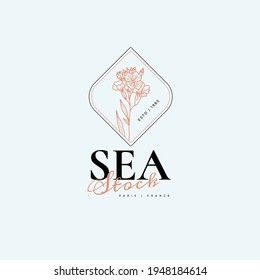 Wildflower Flowers Vector Signs or Logo Templates. Retro Floral Illustration with Classy Typography. Feminine Logo. Modern Logo Template for florist, photographer, fashion blogger, design studio.