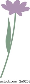 Wildflower Hand Drawn Vector Illustration