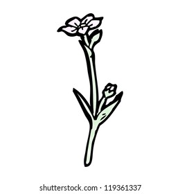 wildflower illustration