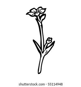 ilustración de la flor silvestre
