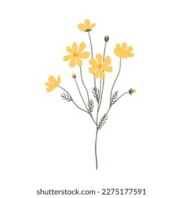 wildflower illustration clipart, vector cottagecore clip art, images in flat cartoon style, daisy, columbine, cosmos, forget me not, lupine, phlox
