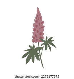 wildflower illustration clipart, vector cottagecore clip art, images in flat cartoon style, daisy, columbine, cosmos, forget me not, lupine, phlox
