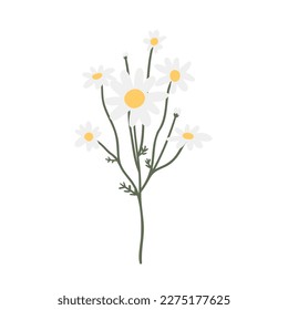 wildflower illustration clipart, vector cottagecore clip art, images in flat cartoon style, daisy, columbine, cosmos, forget me not, lupine, phlox
