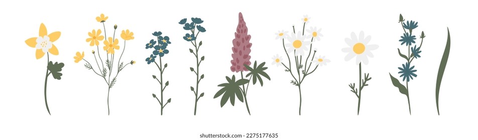 wildflower illustration clipart, vector cottagecore clip art, images in flat cartoon style, daisy, columbine, cosmos, forget me not, lupine, phlox