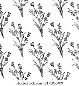 Flor de lavanda de flores silvestres en un estilo de una línea. Esquema de la planta: Espliego de arte con tinta grabada en blanco y negro. Esbozar flor silvestre para fondo, textura, patrón envolvente, marco o borde.