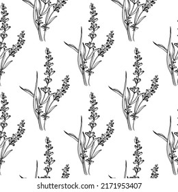 Wildflower lavender flower pattern in a one line style. Outline of the plant: Black and white engraved ink art lavender. Sketch wild flower for background, texture, wrapper pattern, frame or border.