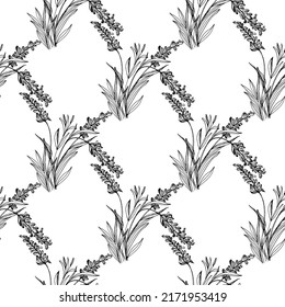 Flor de lavanda de flores silvestres en un estilo de una línea. Esquema de la planta: Espliego de arte con tinta grabada en blanco y negro. Esbozar flor silvestre para fondo, textura, patrón envolvente, marco o borde.