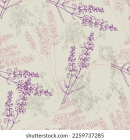 Wildflower lavender flower pattern in a one line style. Outline of the plant: Black and white engraved ink art  lavender. Sketch wild flower for background, texture, wrapper pattern, frame or border.