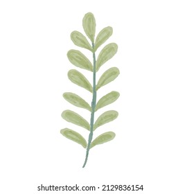 Wildflower and Leaf Watercolor Illustration