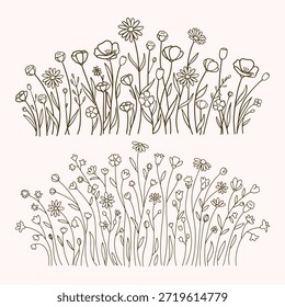 Wildflower Line Art Borders Bundle, Ilustrações de bordas botânicas florais	
